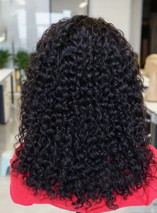 Natural Black/Brown Water Wave Human Hair Lace Front Wig