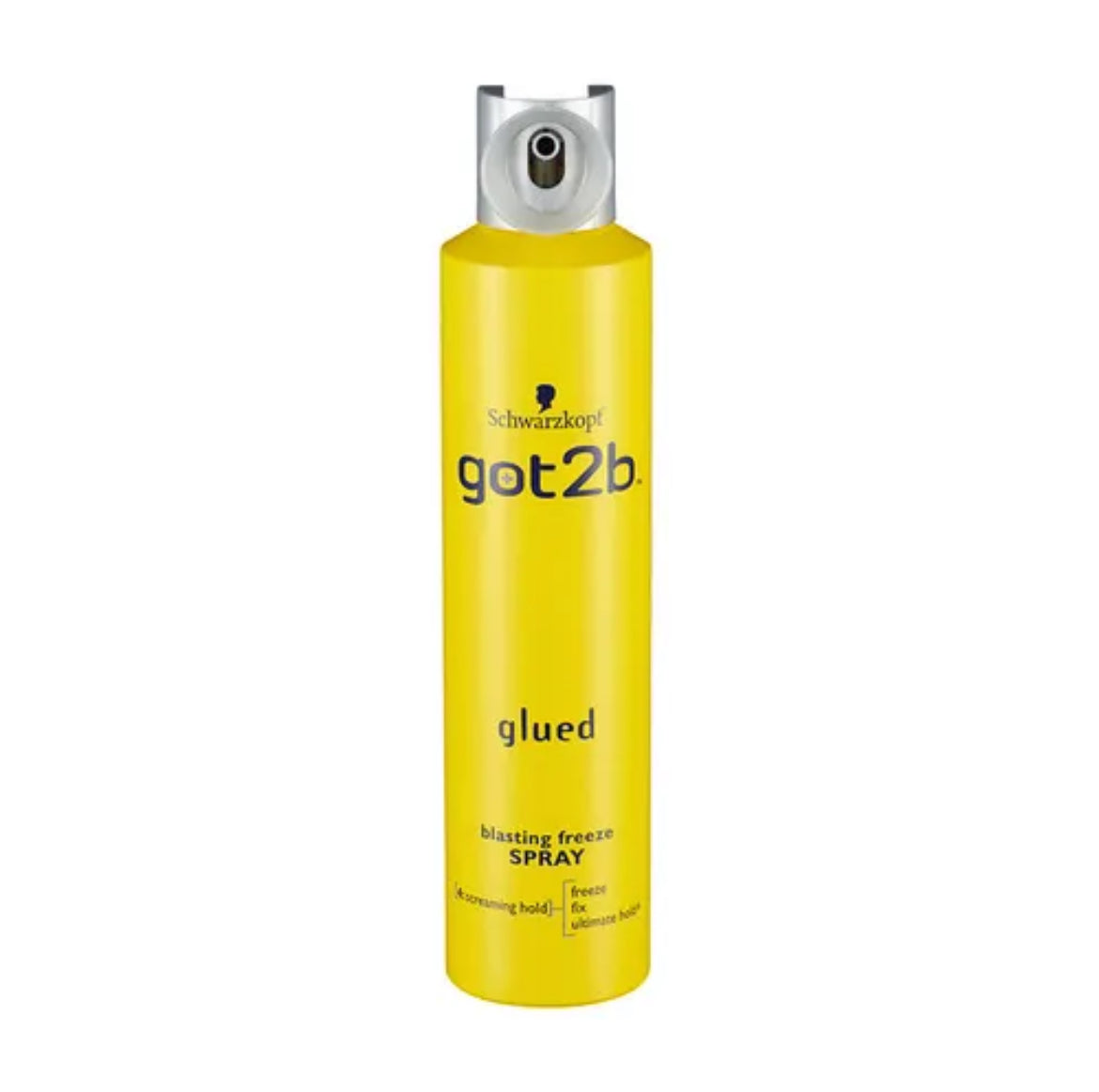 Got2b Freeze Hair Spray
